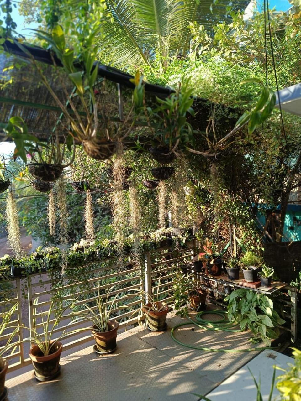 Chaithritha Ladies Homestay 特里凡得琅 外观 照片