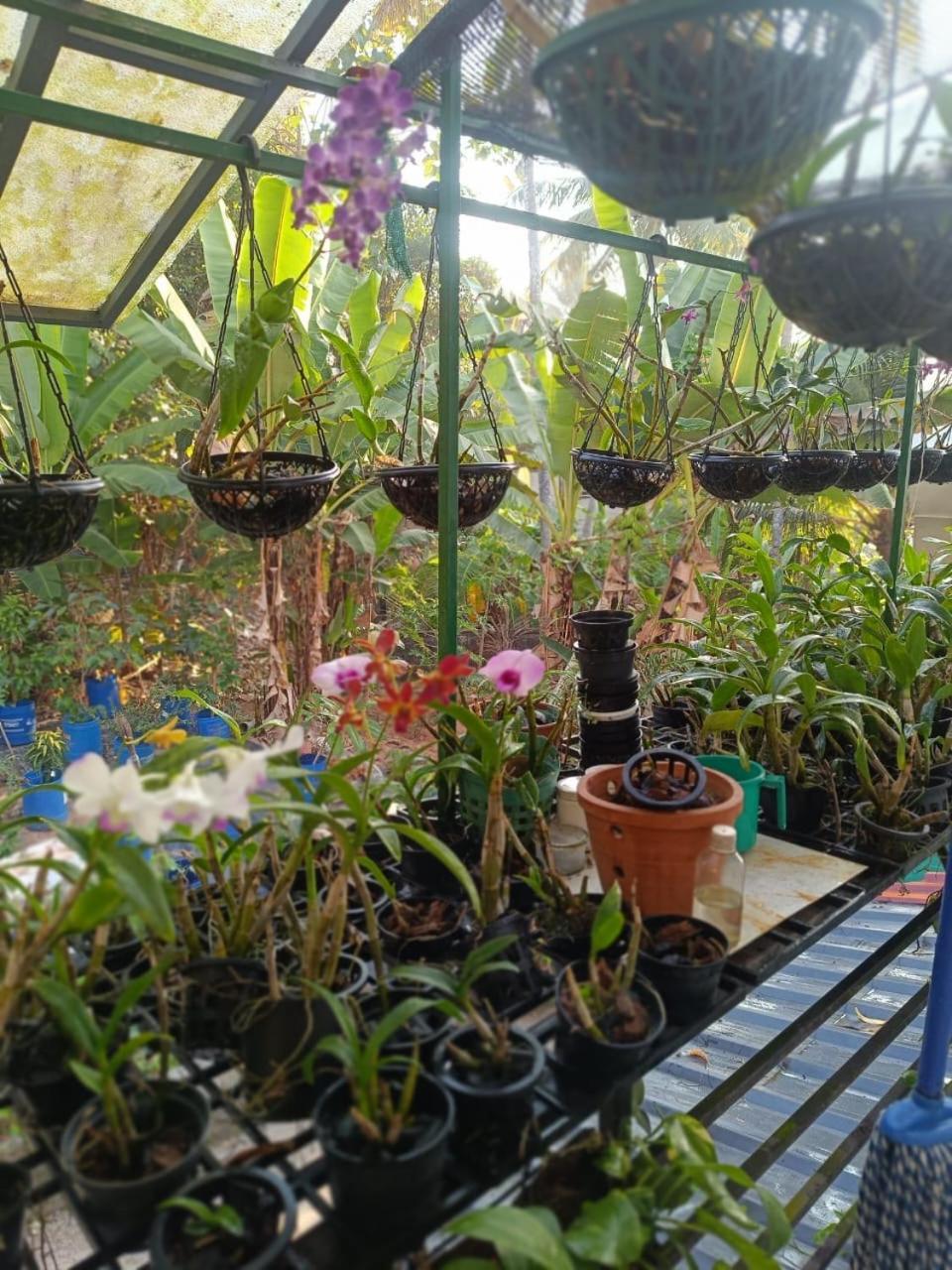Chaithritha Ladies Homestay 特里凡得琅 外观 照片
