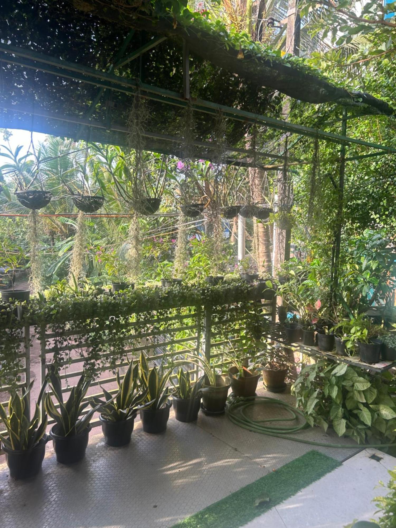 Chaithritha Ladies Homestay 特里凡得琅 外观 照片