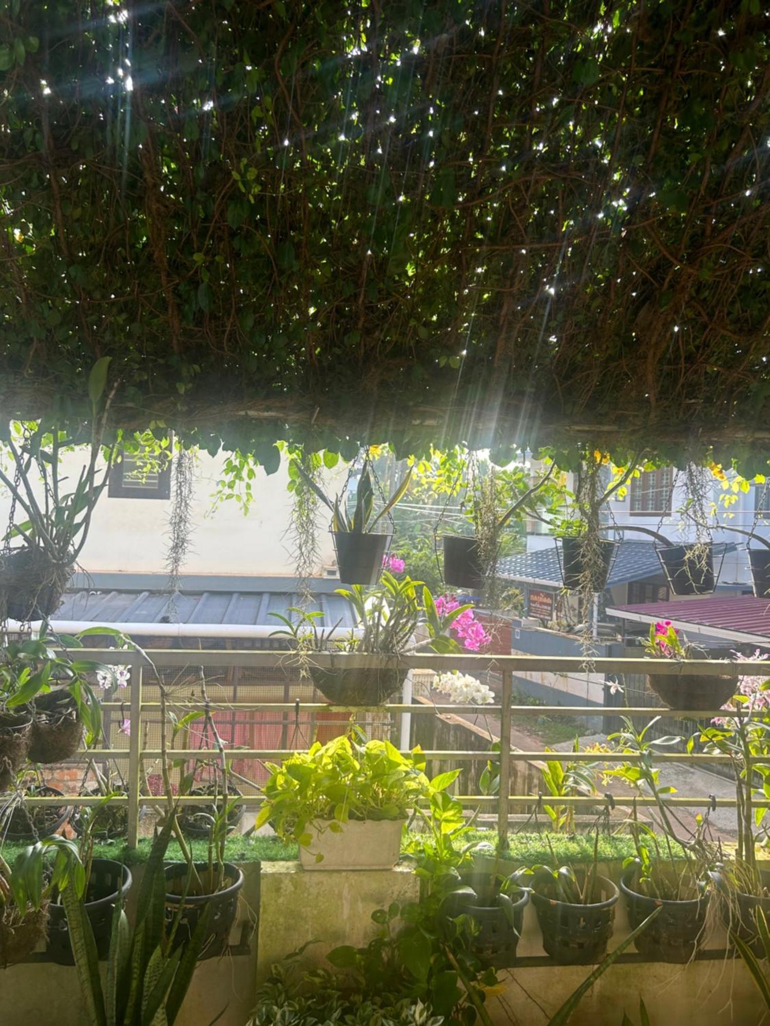Chaithritha Ladies Homestay 特里凡得琅 外观 照片