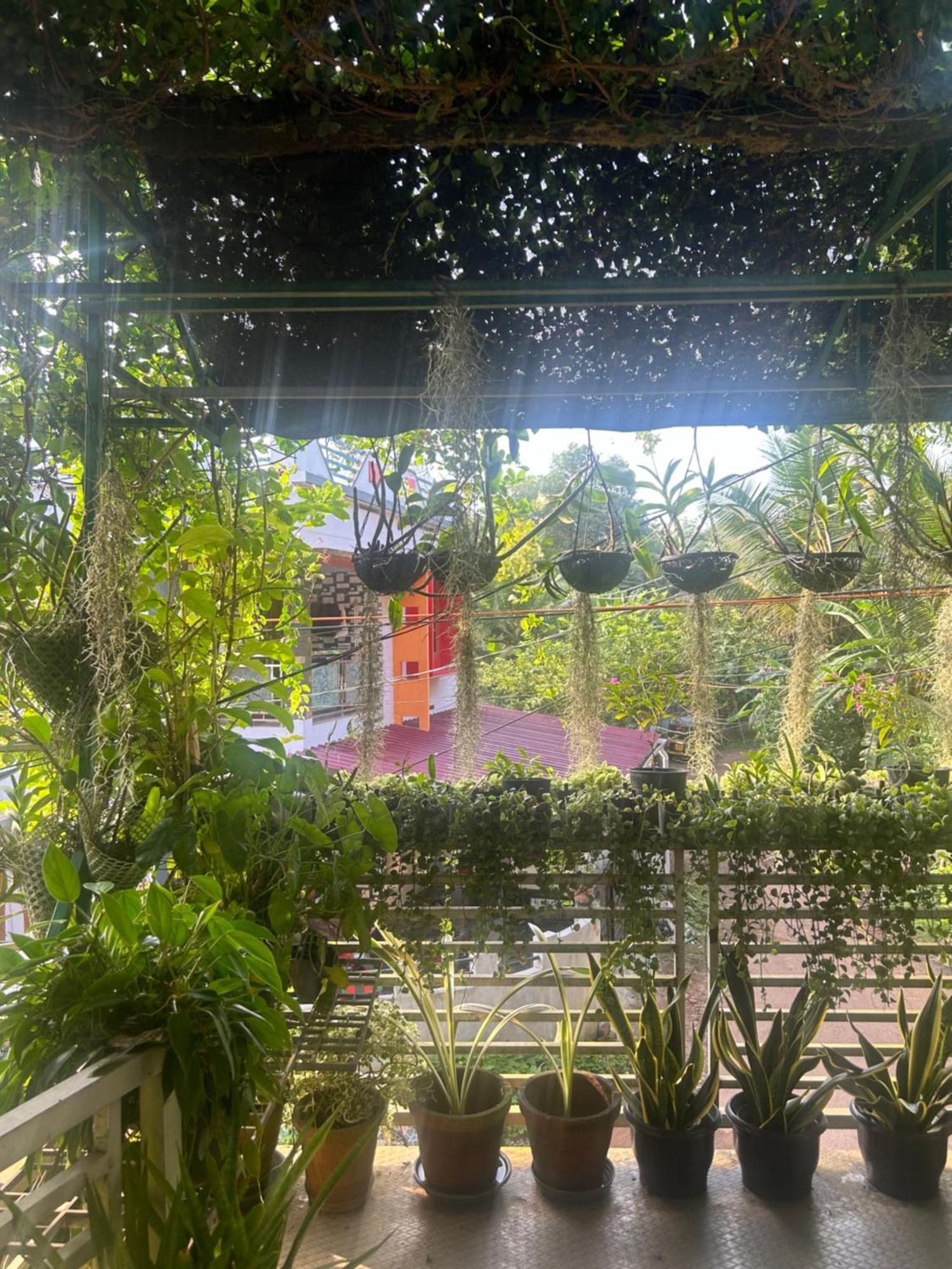 Chaithritha Ladies Homestay 特里凡得琅 外观 照片